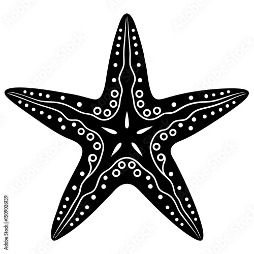 vector illustration of a starfish on a white background.