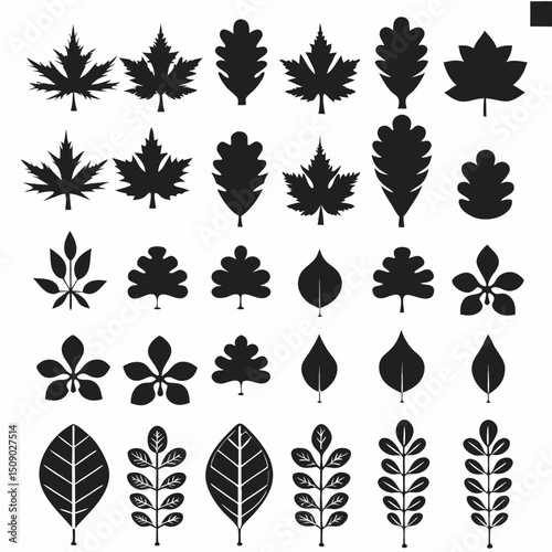 Silhouette Leaf Icons Collection for Nature and Botanical Projects Free Vector, Floral vector icons featuring a variety of flower types and designs showcasing nature in a minimalist style for design.