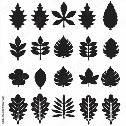 Silhouette Leaf Icons Collection for Nature and Botanical Projects Free Vector, Floral vector icons featuring a variety of flower types and designs showcasing nature in a minimalist style for design.