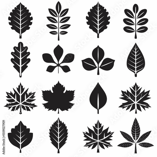 Silhouette Leaf Icons Collection for Nature and Botanical Projects Free Vector, Floral vector icons featuring a variety of flower types and designs showcasing nature in a minimalist style for design.