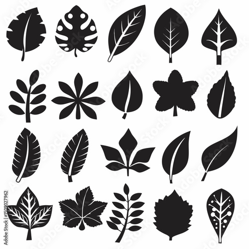 Silhouette Leaf Icons Collection for Nature and Botanical Projects Free Vector, Floral vector icons featuring a variety of flower types and designs showcasing nature in a minimalist style for design.