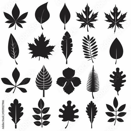 Silhouette Leaf Icons Collection for Nature and Botanical Projects Free Vector, Floral vector icons featuring a variety of flower types and designs showcasing nature in a minimalist style for design.