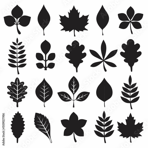 Silhouette Leaf Icons Collection for Nature and Botanical Projects Free Vector, Floral vector icons featuring a variety of flower types and designs showcasing nature in a minimalist style for design.