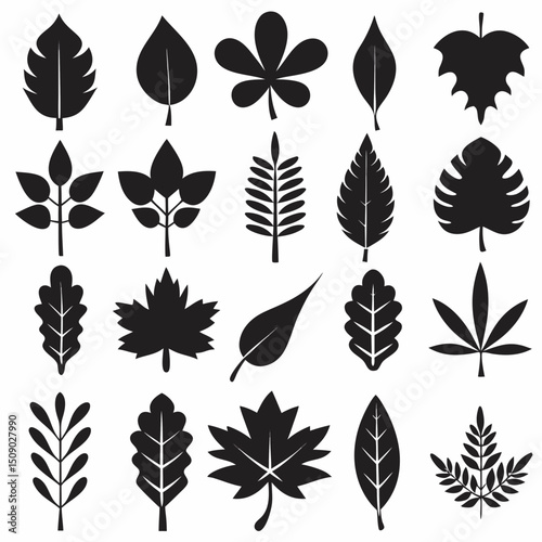 Silhouette Leaf Icons Collection for Nature and Botanical Projects Free Vector, Floral vector icons featuring a variety of flower types and designs showcasing nature in a minimalist style for design.