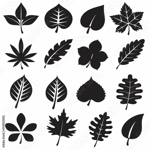 Silhouette Leaf Icons Collection for Nature and Botanical Projects Free Vector, Floral vector icons featuring a variety of flower types and designs showcasing nature in a minimalist style for design.