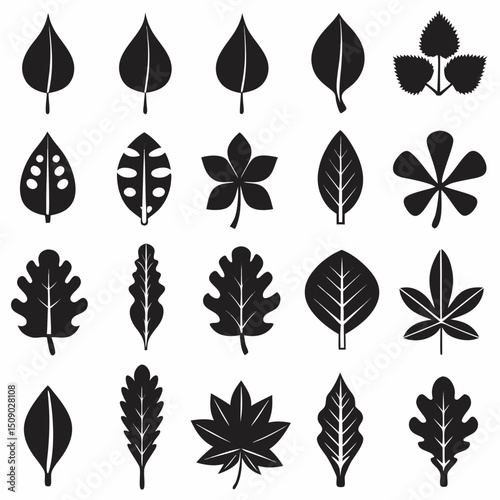 Silhouette Leaf Icons Collection for Nature and Botanical Projects Free Vector, Floral vector icons featuring a variety of flower types and designs showcasing nature in a minimalist style for design.
