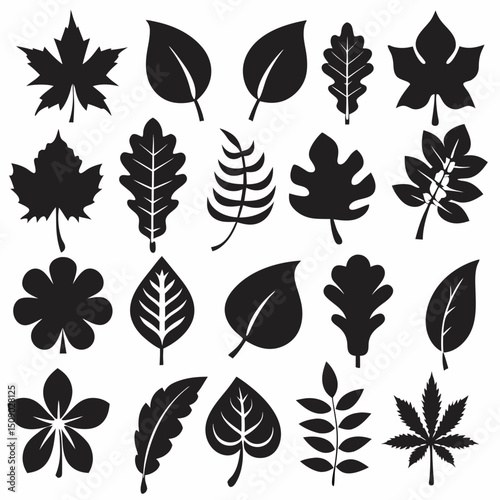 Silhouette Leaf Icons Collection for Nature and Botanical Projects Free Vector, Floral vector icons featuring a variety of flower types and designs showcasing nature in a minimalist style for design.