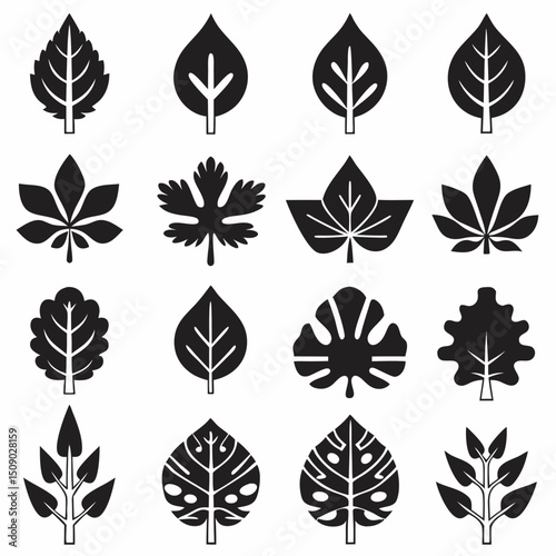 Silhouette Leaf Icons Collection for Nature and Botanical Projects Free Vector, Floral vector icons featuring a variety of flower types and designs showcasing nature in a minimalist style for design.