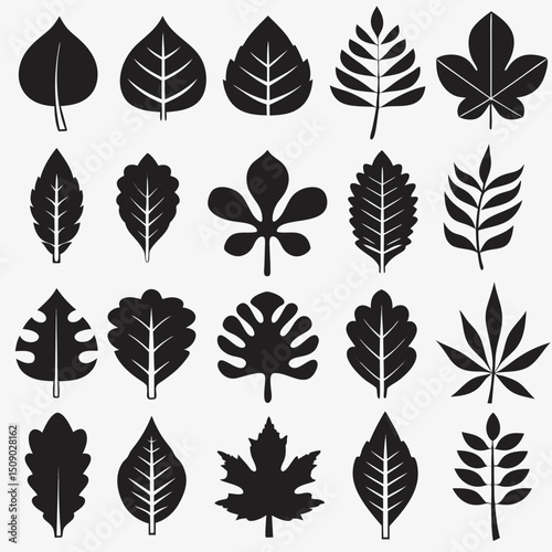 Silhouette Leaf Icons Collection for Nature and Botanical Projects Free Vector, Floral vector icons featuring a variety of flower types and designs showcasing nature in a minimalist style for design.