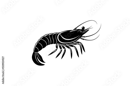 shrimp vector illustration
