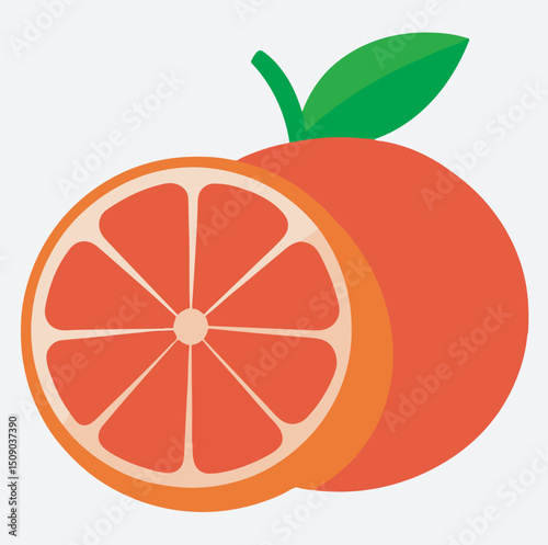 orange and orange slice silhouette vector art illustration, vector illustration of an orange fruit
