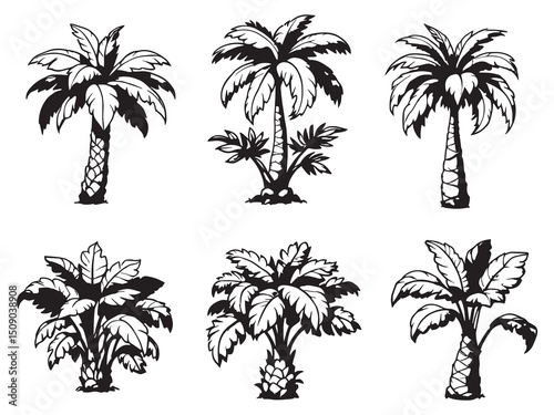 Cabbage Palm Botanical Line Art