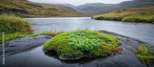 Mossy rock by tranquil river, misty highlands. Nature scene