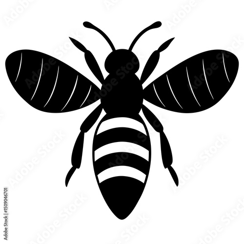 bee vector illustration