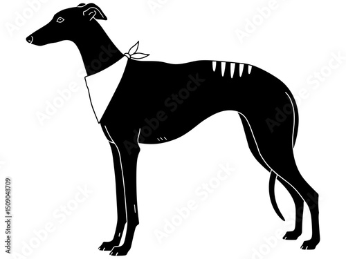 Greyhound dog in profile with a bandana on its neck and sleek silhouette