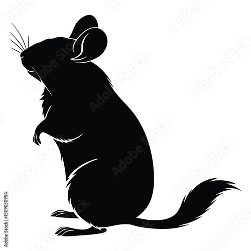 Black silhouette of a standing chinchilla vector image illustration
