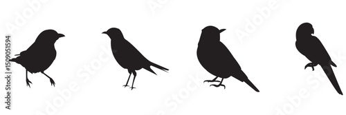 Birds in Flight Silhouette . Minimalist Bird Silhouette set . on white background .