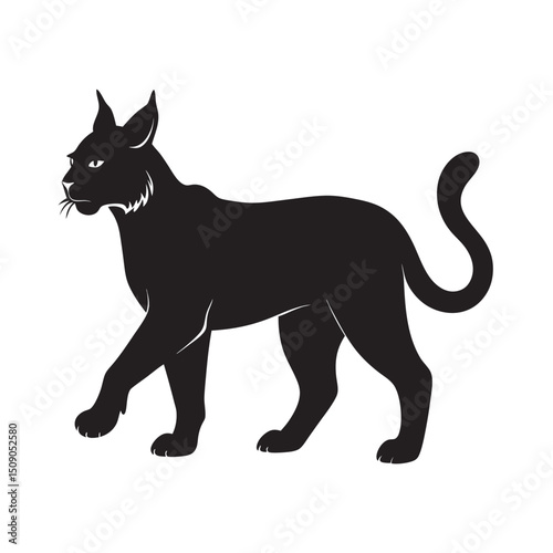 Lynx Walking Silent Footsteps