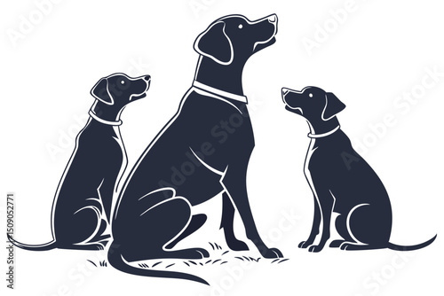 Elegant vector illustration of three labrador retrievers sitting and looking upward
