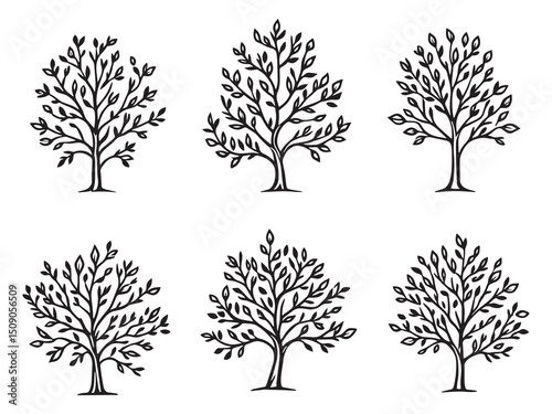 Elegant Line Drawing of Dogwood Tree