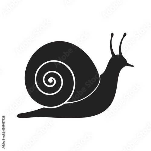 Snail Crawling Slowly Side