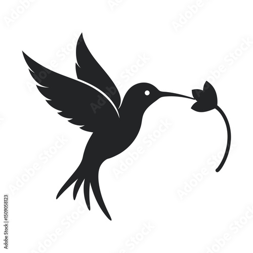 Hummingbird Hovering Flower