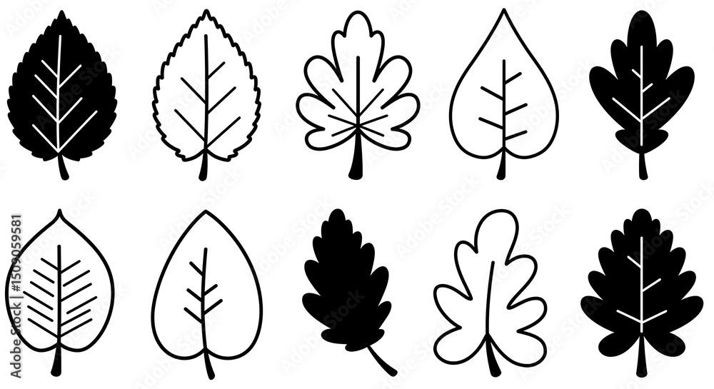 Fototapeta premium Leaf Outline Set Different Shapes Black and White
