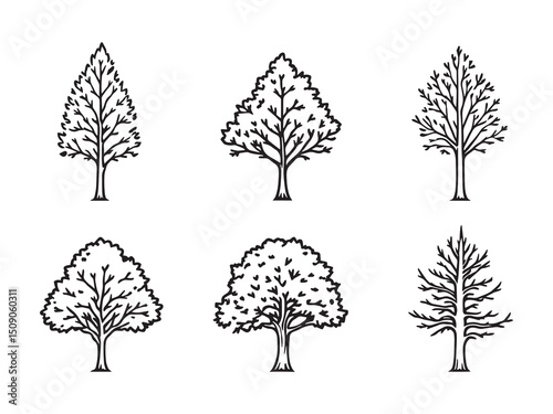 Elm Tree Hand Drawn Line Art