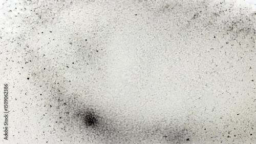 Abstract Black Dot Surrounded by Gray Dust Particles on White Background Conceptual Art