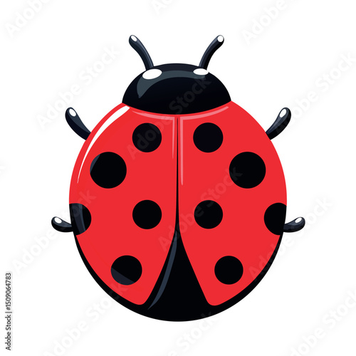vector ladybug on white background