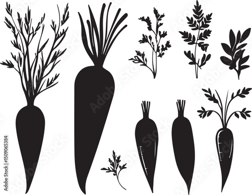 Carrot Silhouette Vector Art: Black and White Illustration of Carrots and Carrot Tops