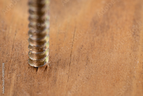 Detailed Screw Thread In Wood Grain