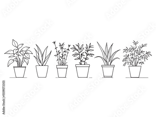 Indoor Plant Line Drawing Minimalist Style