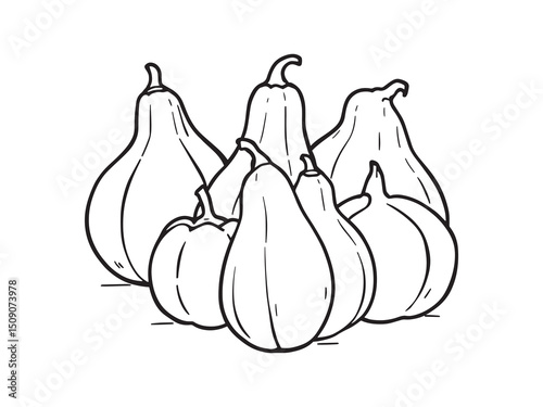 Ivy Gourd Plant Line Art Botanical Drawing