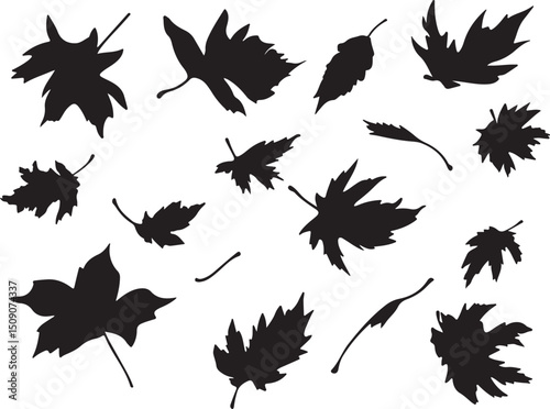 Black and White Silhouette of Assorted Falling Maple Leaves, Autumnal Vector Graphic