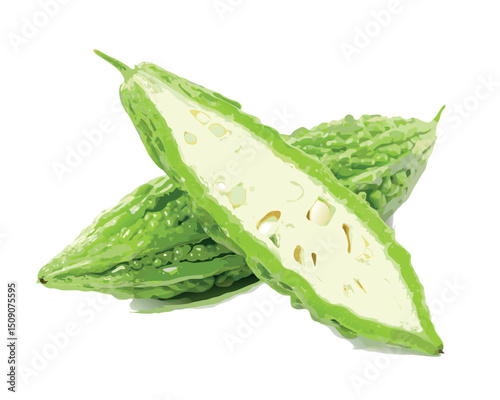 fresh green Corolla vegetable vector on white background