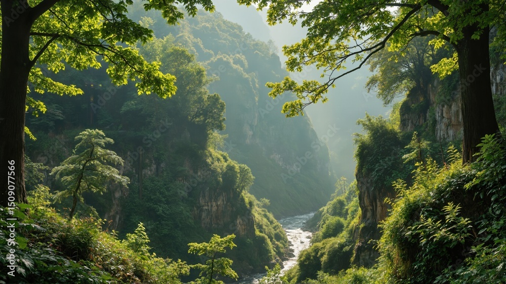 Obraz premium trees in the forest