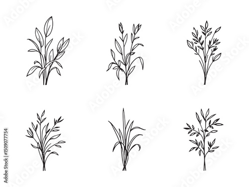 Lemon Grass Minimal Line Art Collection
