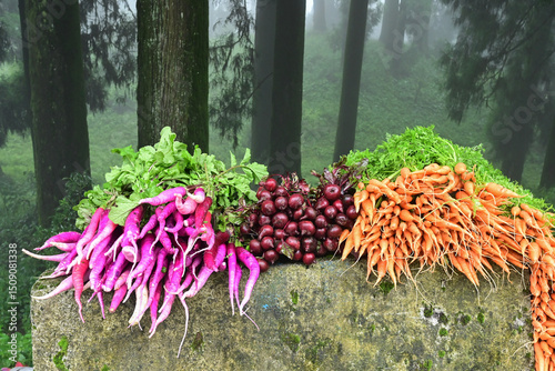 Mules, Beets and carrots , vegetables are being sold at roadside market, Darjeeling, West Bengal, India.