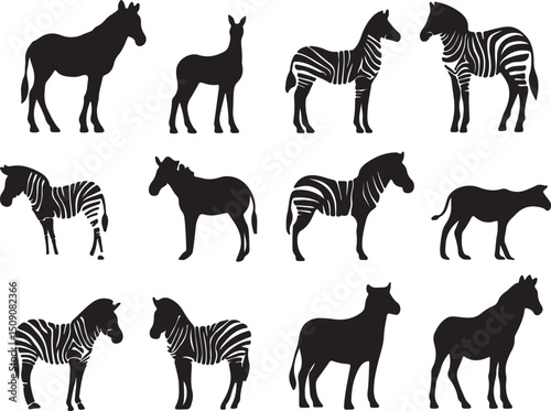 Zebra Silhouette Vector Set: Black and White Animal Graphics, Wildlife Illustration, Equine Art