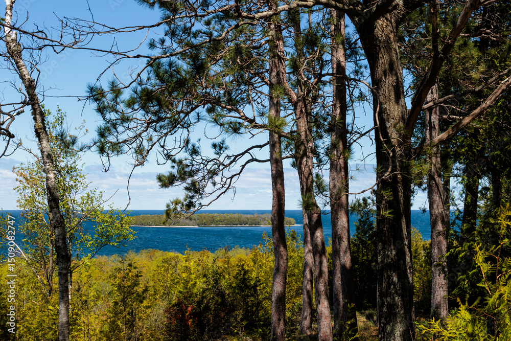 Obraz premium Looking through the red pines to Horseshoe Island in Green Bay, from Peninsula State Park, Fish Creek, Door County, Wisconsin in late May.
