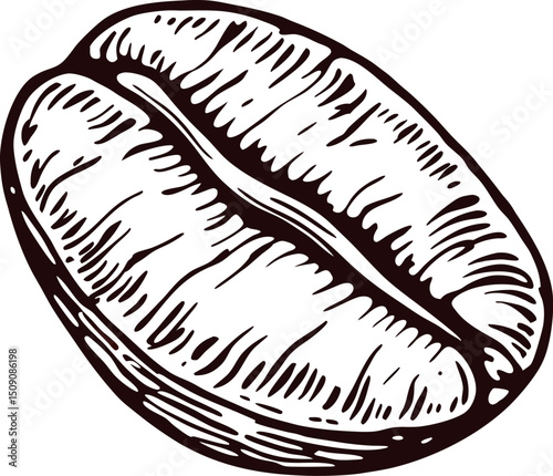 Detailed of a single coffee bean in vintage design