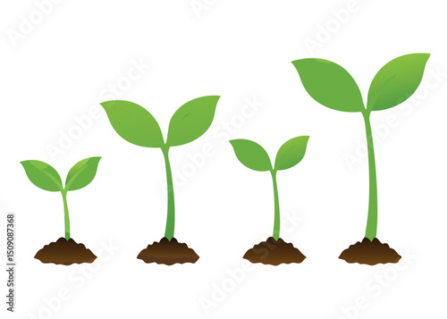 young plant growing from soil vector