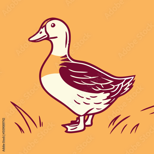 Illustration of a Domestic Duck in Grass