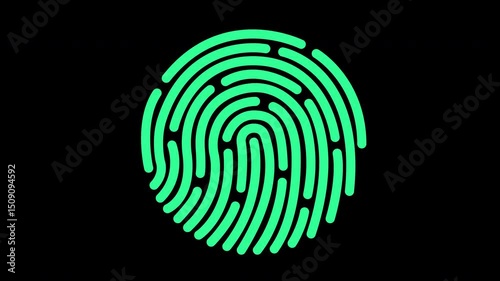 Fingerprint animation on transparent background green