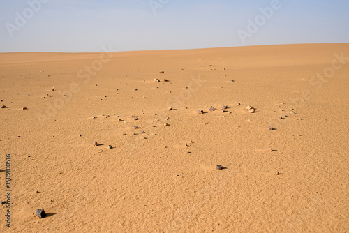 Fototapeta Naklejka Na Ścianę i Meble -  Paysage désertique avec dromadaires du Sahara en Mauritanie
