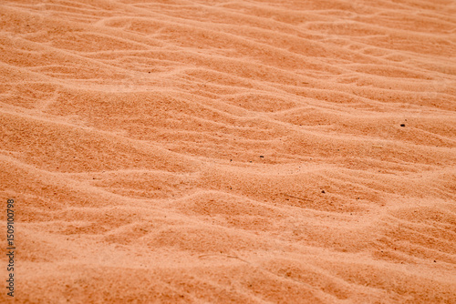 Fototapeta Naklejka Na Ścianę i Meble -  Détail des dunes de sable du Sahara en Mauritanie