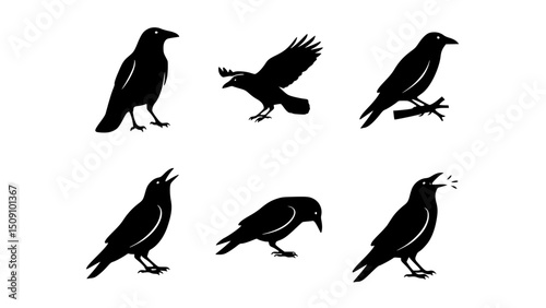 Crow Silhouette Collection