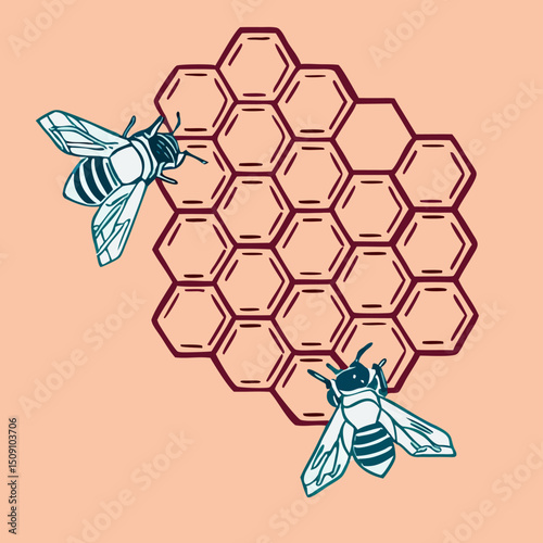 Two Bees on Honeycomb Illustration Graphic
