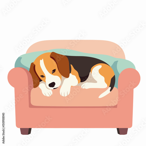 Beagle dog Canis familiaris sleeping peacefully on pink armchair under soft blanket. Cute beagle puppy resting comfortably in cozy home environment.